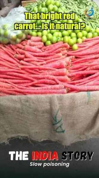 macroschema's tweet image. Low IQ Indian thinks that Indian bazaar sells organic vegetables 

Europe has very strict regulations regarding GM crops and foods

Any food containing more than 0.9% GM ingredients must be labeled as genetically modified

Only a few GM crops are legally grown in the EU, mostly…