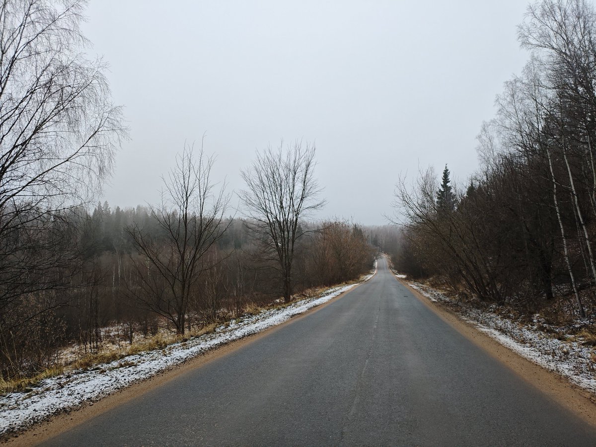 okora's tweet image. Утренний туман