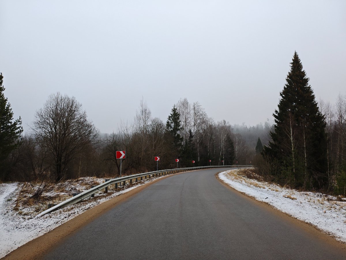 okora's tweet image. Утренний туман