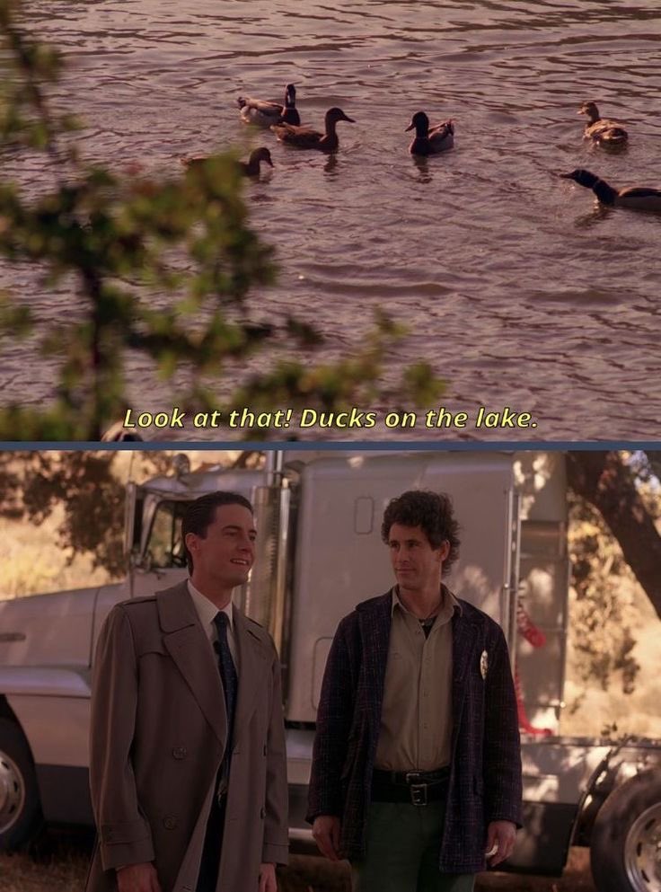 titleposting's tweet image. dudes love ducks