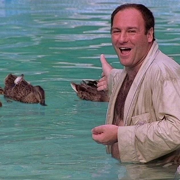 titleposting's tweet image. dudes love ducks