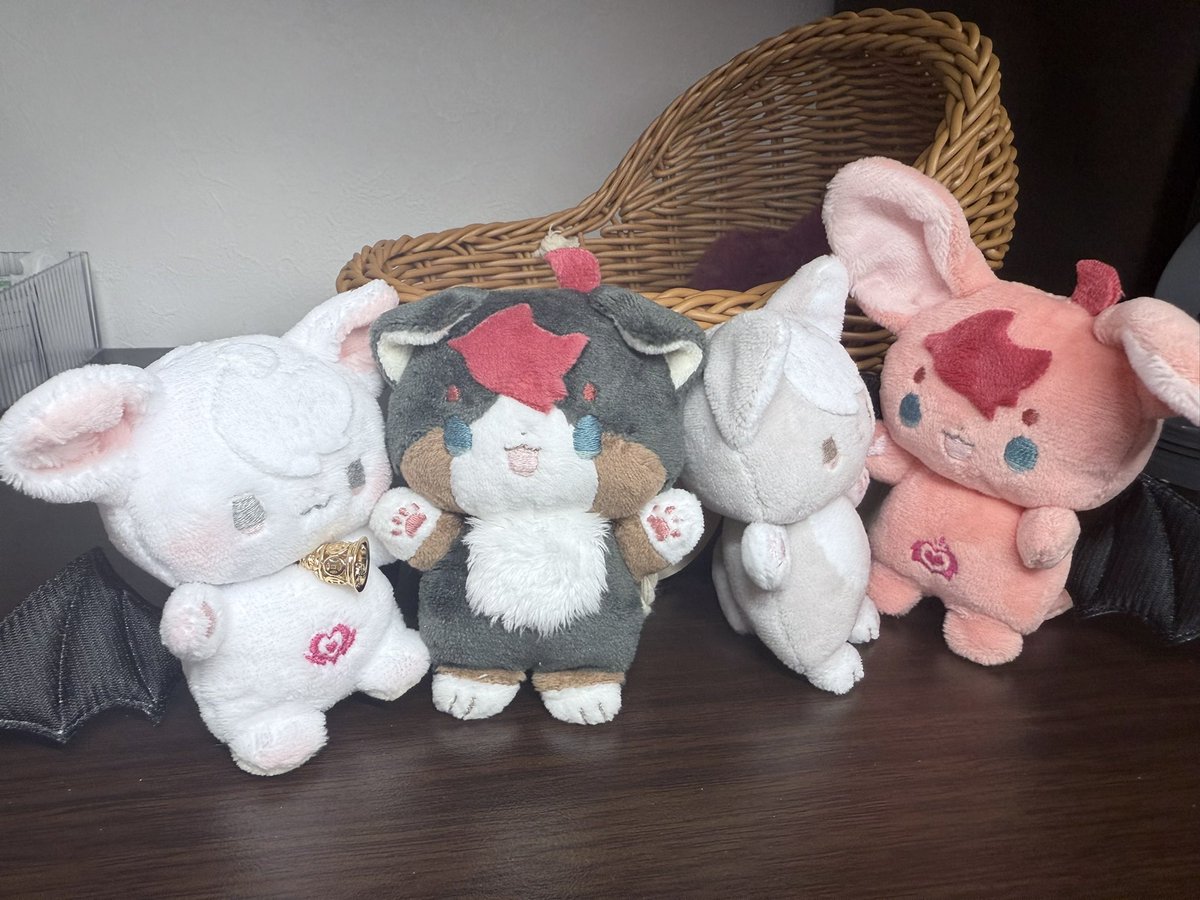 まりも (@marimo_nu) / Posts / X