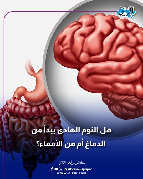 هل النوم الهادئ يبدأ من الدماغ أم من الأمعاء؟ #الأردن 