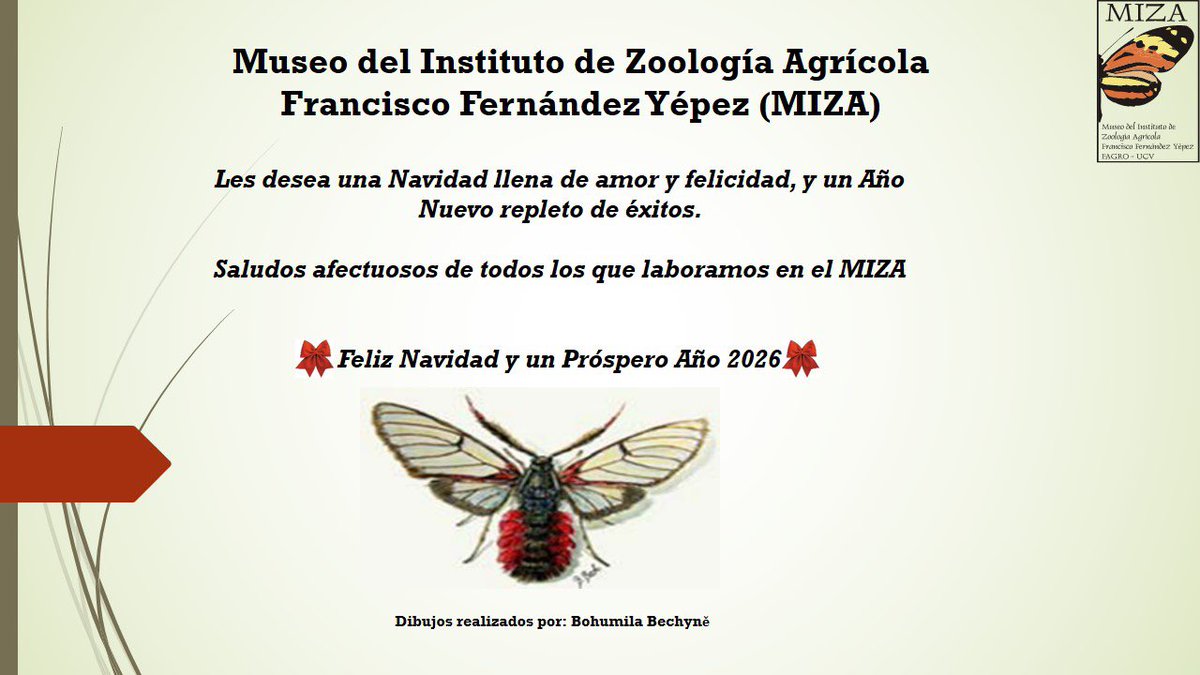 Aún con lo complicado que vivimos, les deseamos una Feliz Navidad y un 2026 exitoso. Equipo MIZA.