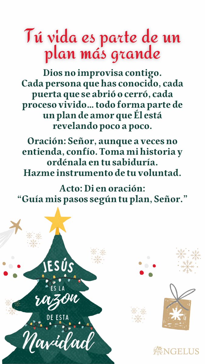 angelus_msj's tweet photo. Acto del día:
Di en oración:
“Guía mis pasos según tu plan, Señor.” https://t.co/6Wzy62IACy