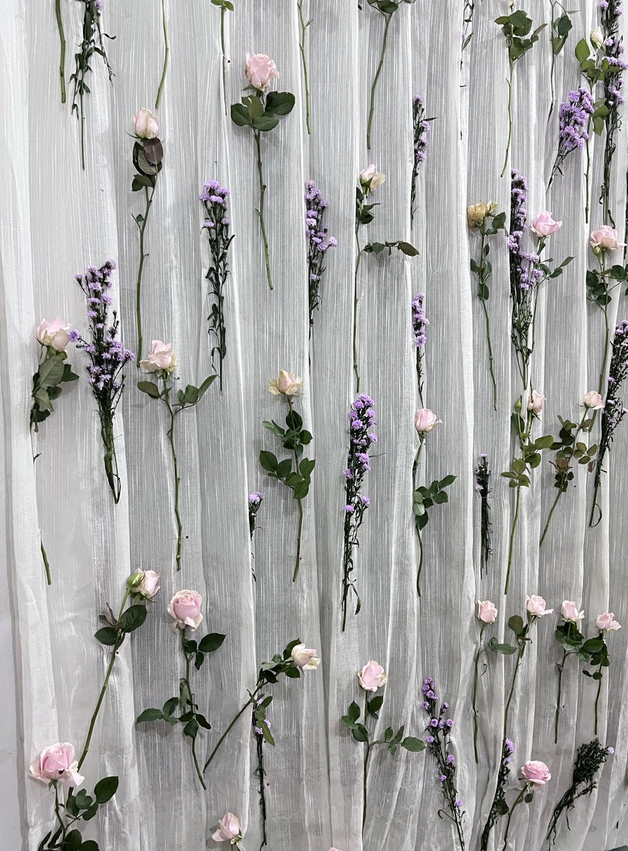 Pyori🐣 tweet media