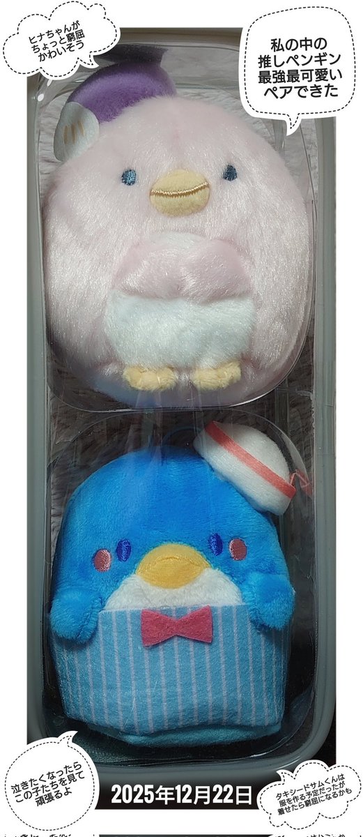 そしてヒナちゃんをお迎えしたことで……最強最高に可愛いペンギンペアが