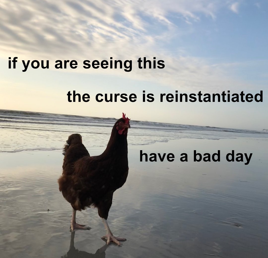 LLVMnoIR tweet media