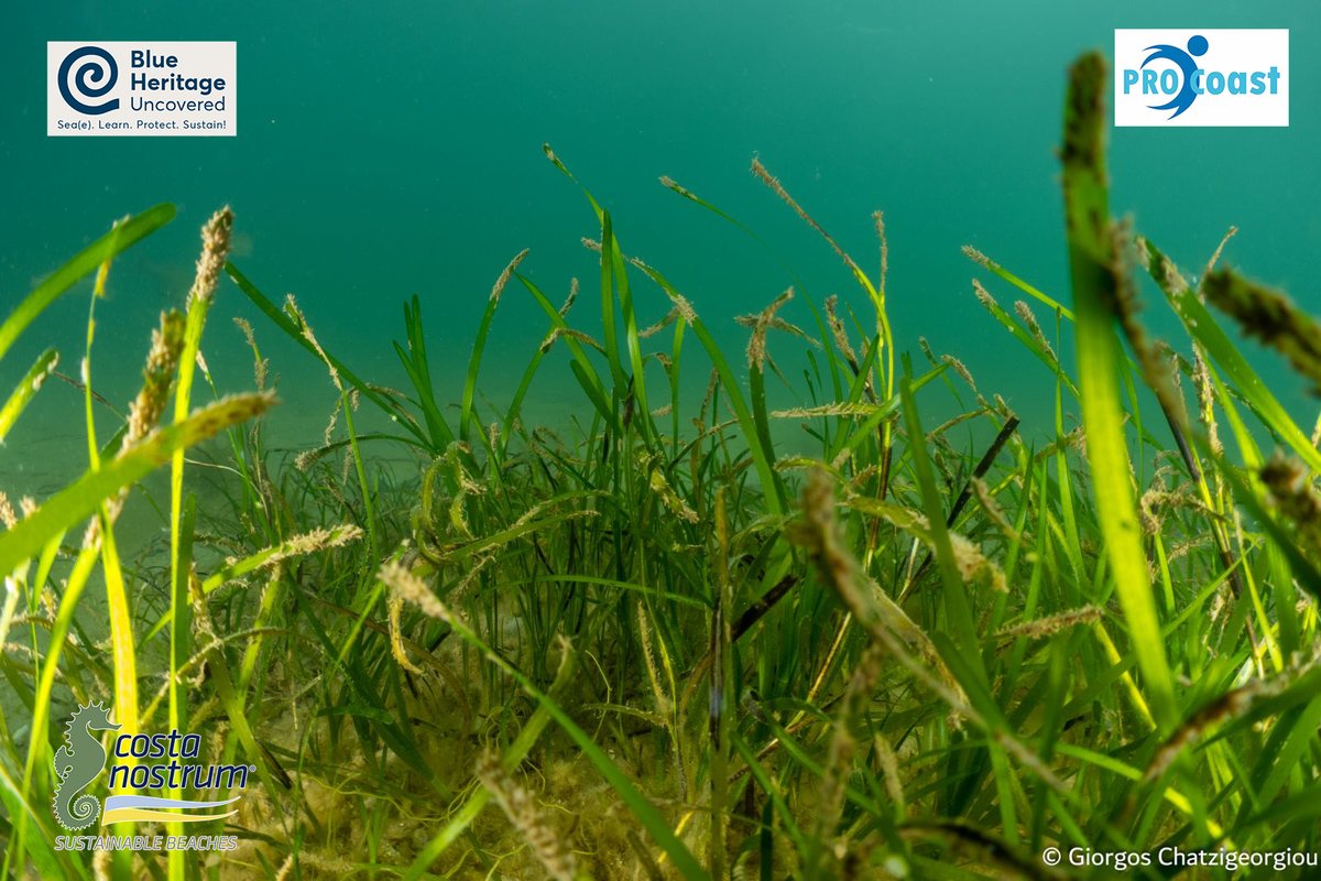 🗺️ Knoll Beach: Where history, nature, and resilience meet. A place of memory, myths, and timeless protection.

ℹ️ “Knoll Beach - UK”, case study visit in the framework of <a href="/PRO_C0ast/">PRO-Coast</a> EU Horizon ProjectKnoll Beach - Where the Land Remembers

📍 The beach: maps.app.goo.gl/Q8gQCVeMMGGgCN…