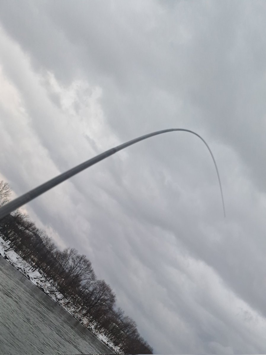 viphage's tweet image. 外来種を掻き分けて漸く魚の当たり🎯⁉️いいサイズのアメマスだわ⁉️#シマノ#ボーダレス#渓流釣り#本流延べ竿釣り#北海道#アメマス#暖気