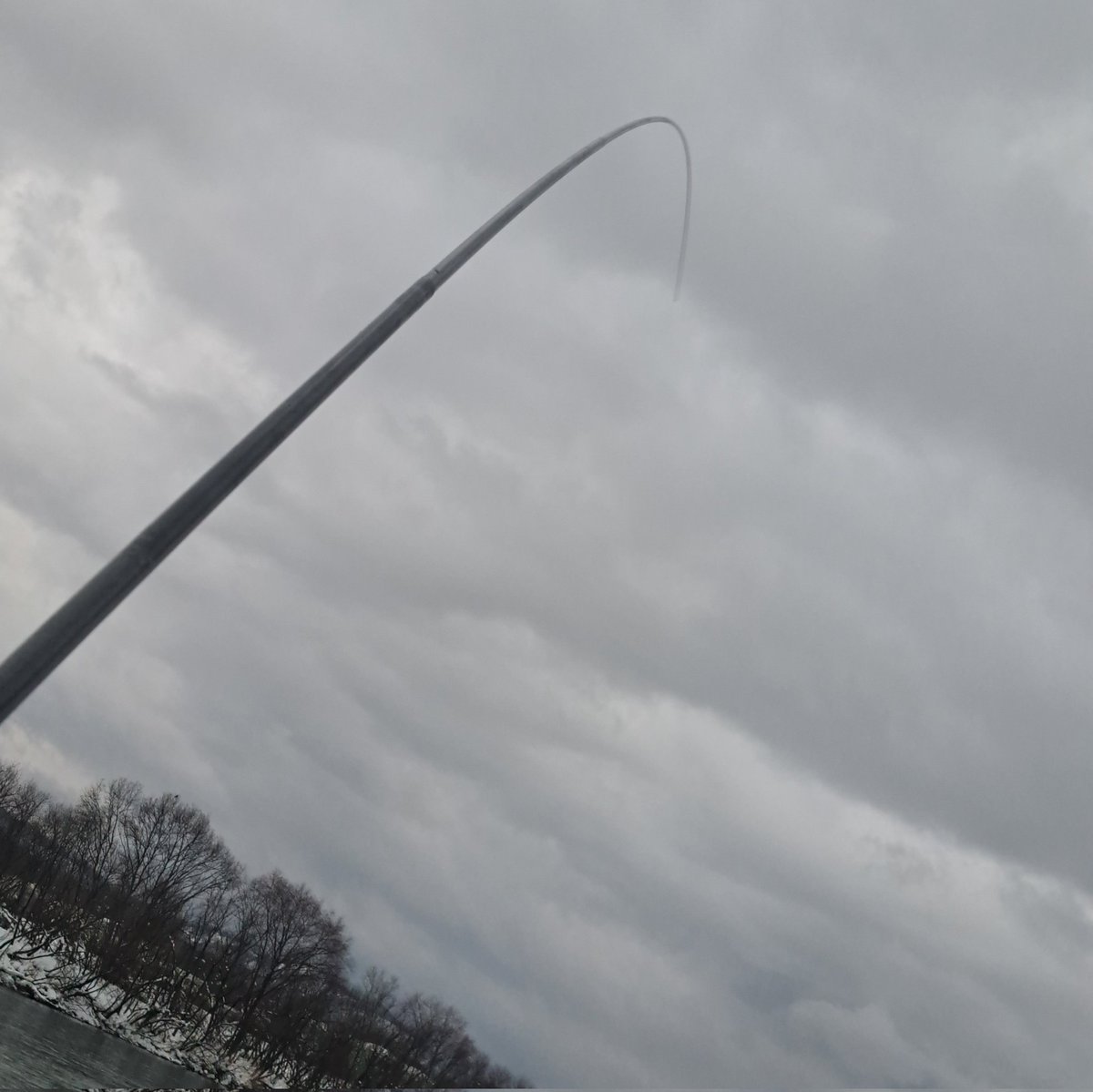 viphage's tweet image. 外来種を掻き分けて漸く魚の当たり🎯⁉️いいサイズのアメマスだわ⁉️#シマノ#ボーダレス#渓流釣り#本流延べ竿釣り#北海道#アメマス#暖気