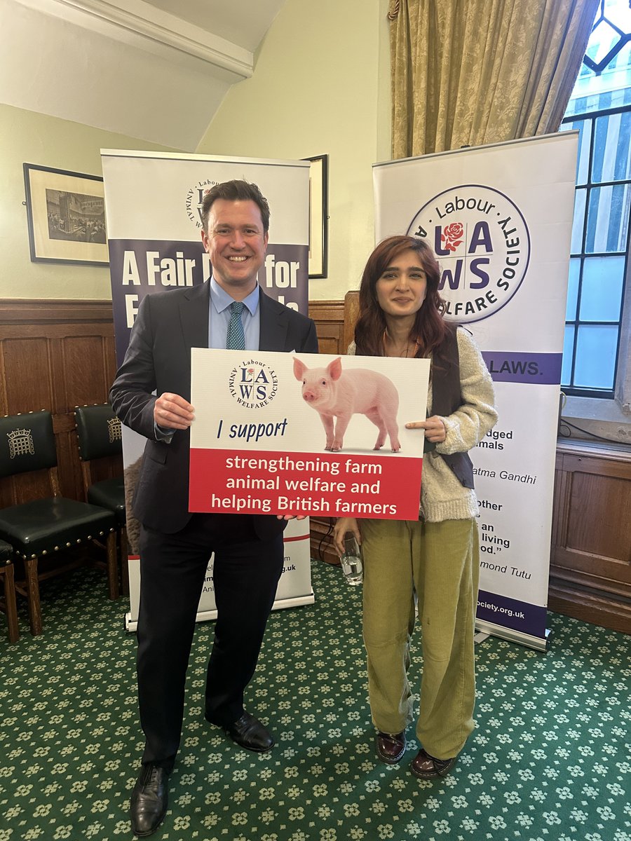 Steve Race MP 💙💛 tweet media