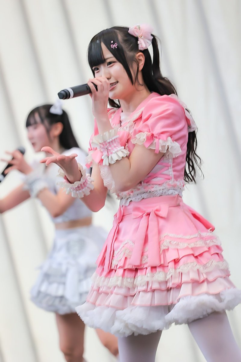 🍮プリンちゃん📷 (@KKD_Purin_chan) / Posts / X