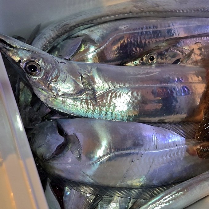 アニソンカラオケBAR loveit【らびっと】のツイート