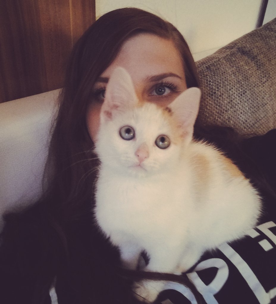 4 Wochen ist meine Mieze jetzt schon verschwunden...😔

Die 2 anderen sind auch nicht wieder nach Hause gekommen..

auch deshalb hab nicht mehr viel Hoffnung, dass ich Vivy wieder sehe...

Weil ein Familienmitglied fehlt ist die Weihnachtsstimmung gedrückt..

Du fehlst mir so. 🥺