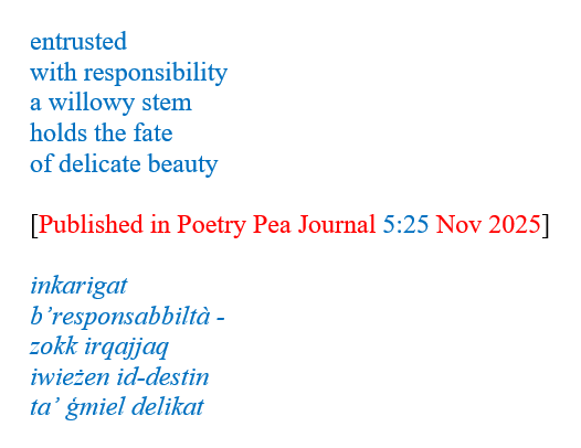 CallusPaul's tweet image. 