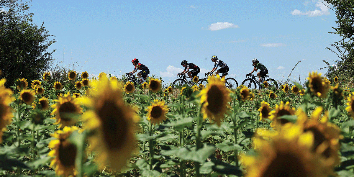 Giro d'Italia Women tweet media