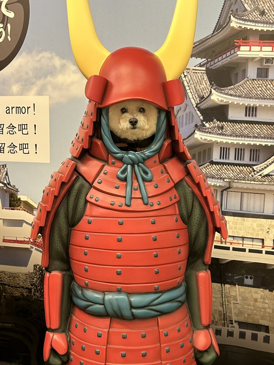 コロ助 楽天市場】キテレツ大百科 ビッグアクションフィギュアコロ助 全1種