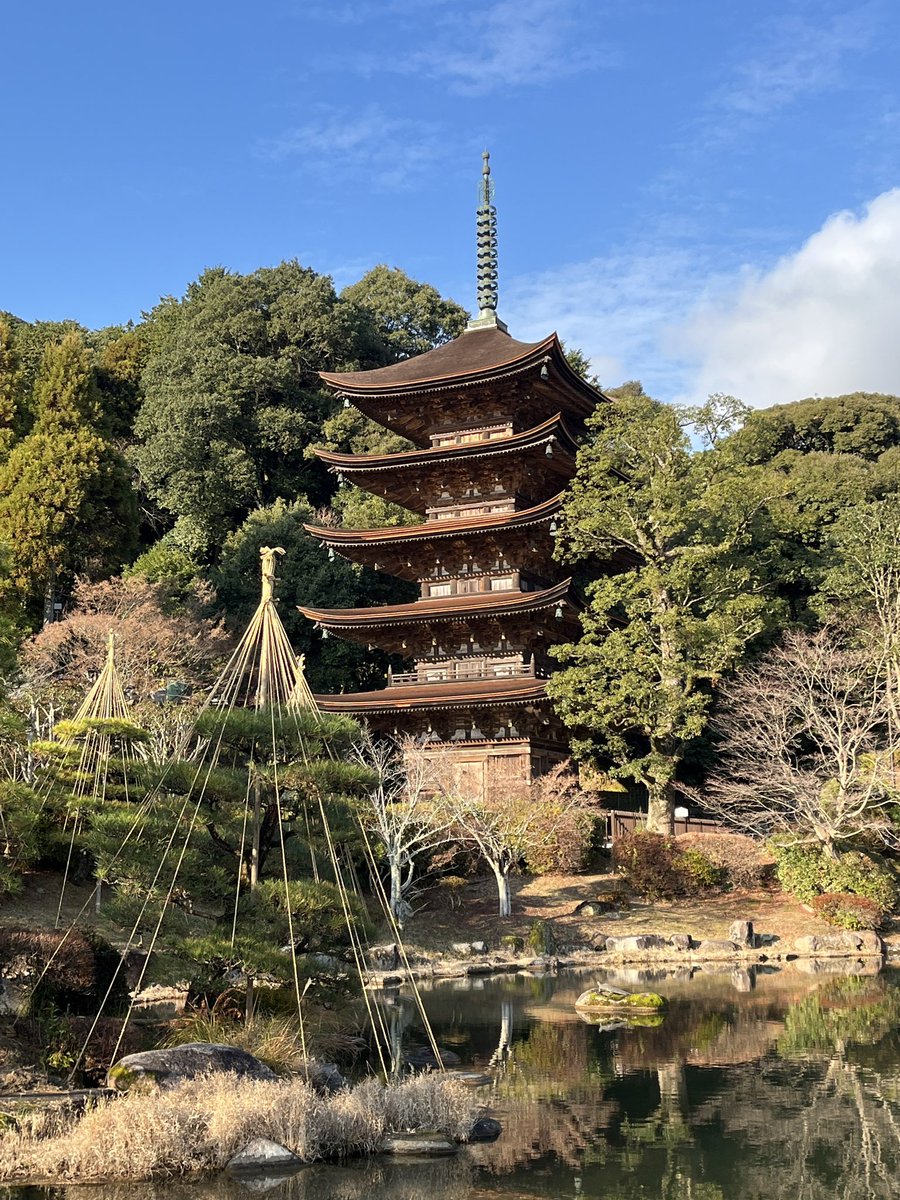 utti3323's tweet photo. 山口県って何があるんだろう？と思い、
まずは唐戸市場でふぐ刺定食を食べましたが、とても新鮮で美味しい！
あと、話題の瓦そば食べてみました。
パリパリとジューシーさを味わえてすごく美味しかったです✌️
私の祖先は山口発祥説あるので、市内の遺跡を巡って歴史を堪能してきました✨ https://t.co/m28DtAtJzx