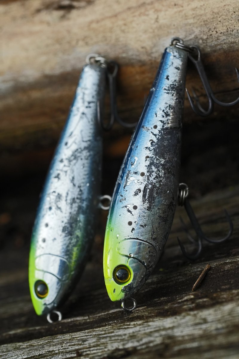 もりぞー (@morizo57) / Posts / X