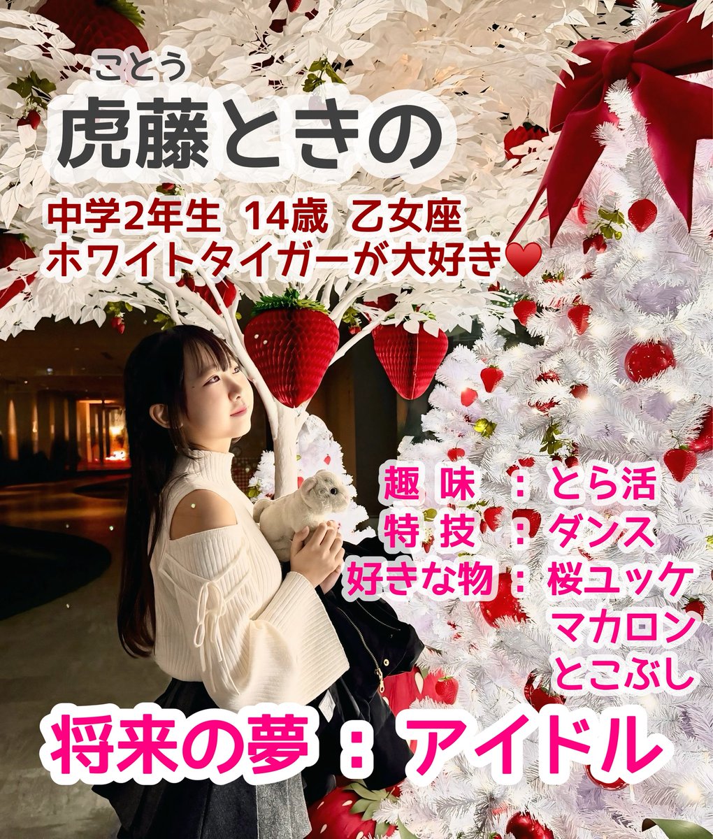🤍🐯虎藤ときの🍖 (@tora_092) / Posts / X