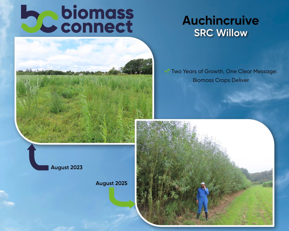 Biomass Connect tweet media