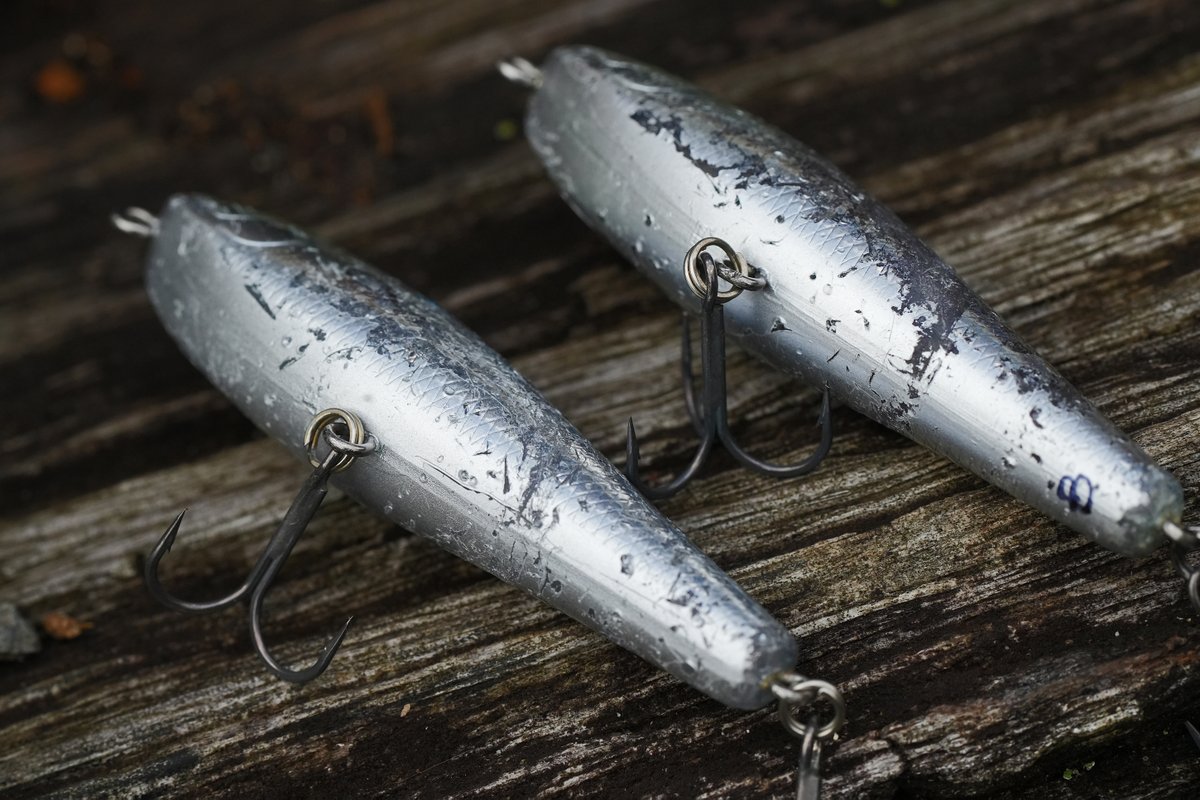 もりぞー (@morizo57) / Posts / X