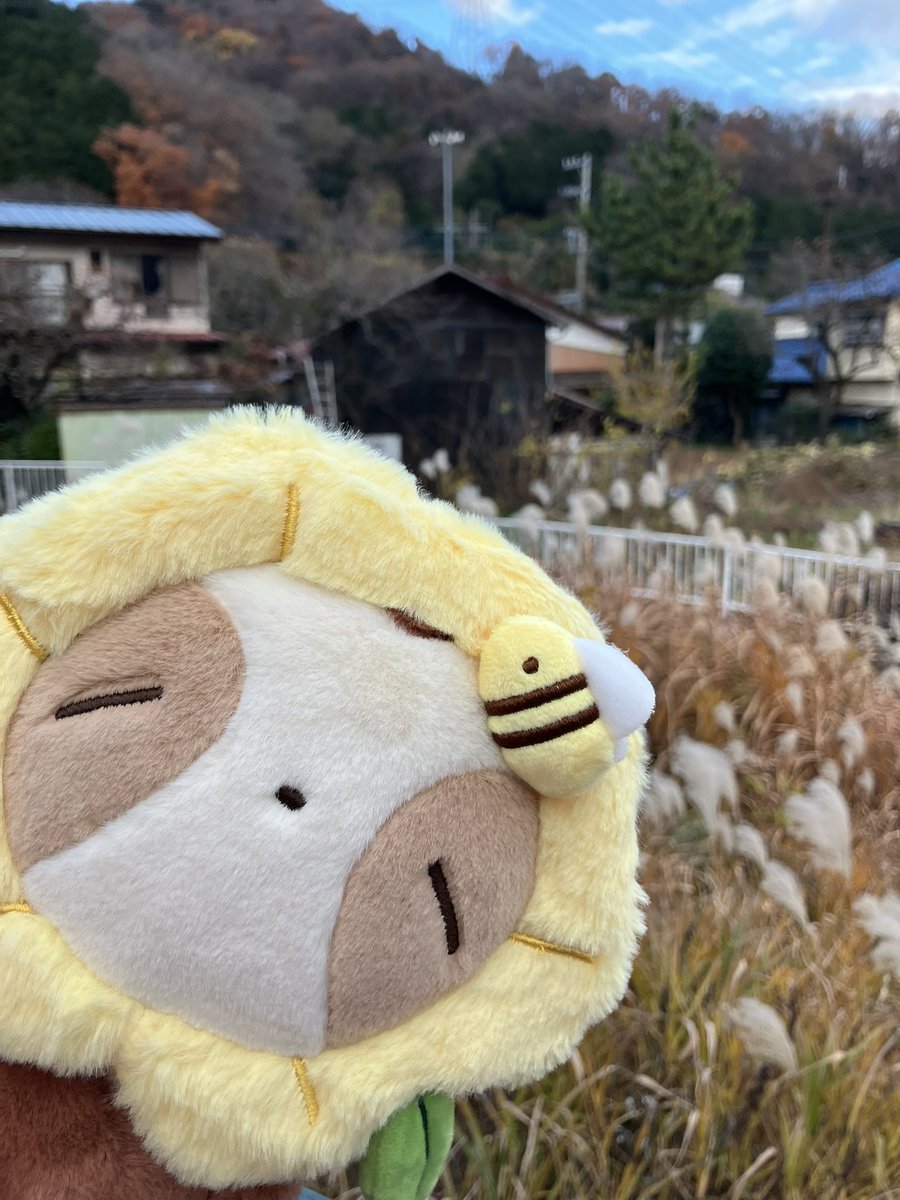 ただのなまけもの　色紙 ただのなまけものさんのなまけものズ、今年はシールがもりもりです