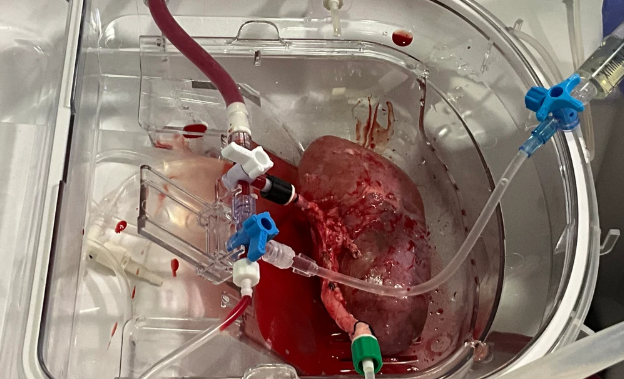 Centro Experimental Cyborg - UMH tweet media