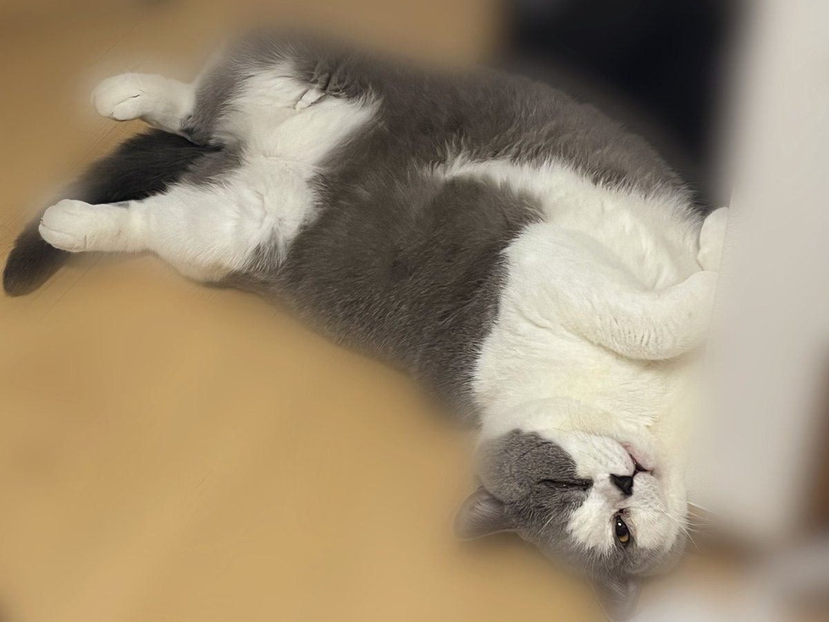 あちこ。🍜🚬 (@achiko_tyosu) / Posts / X