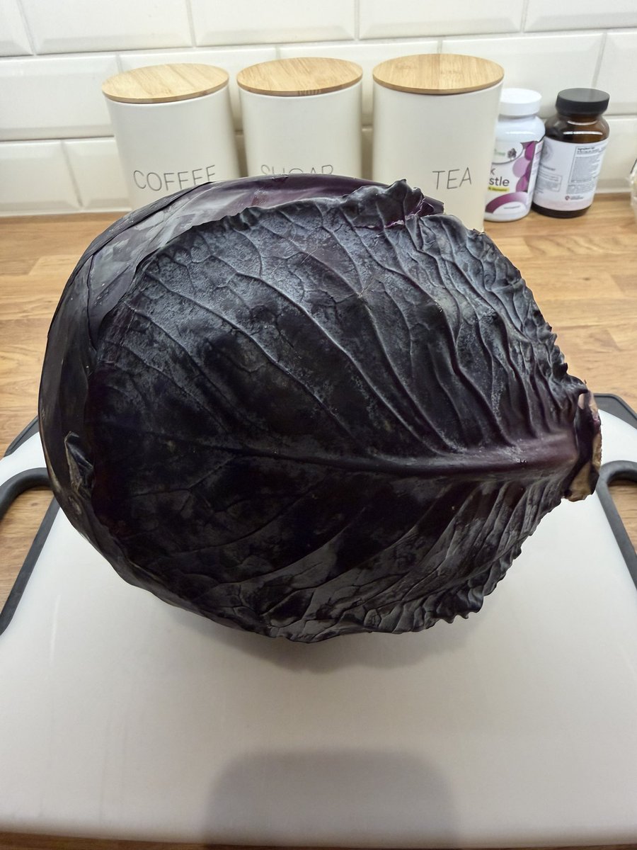 carysbach's tweet photo. @TatwsTrading Bloody biggest cabbage I’ve ever seen @TatwsTrading https://t.co/g1aYcOc2Mu