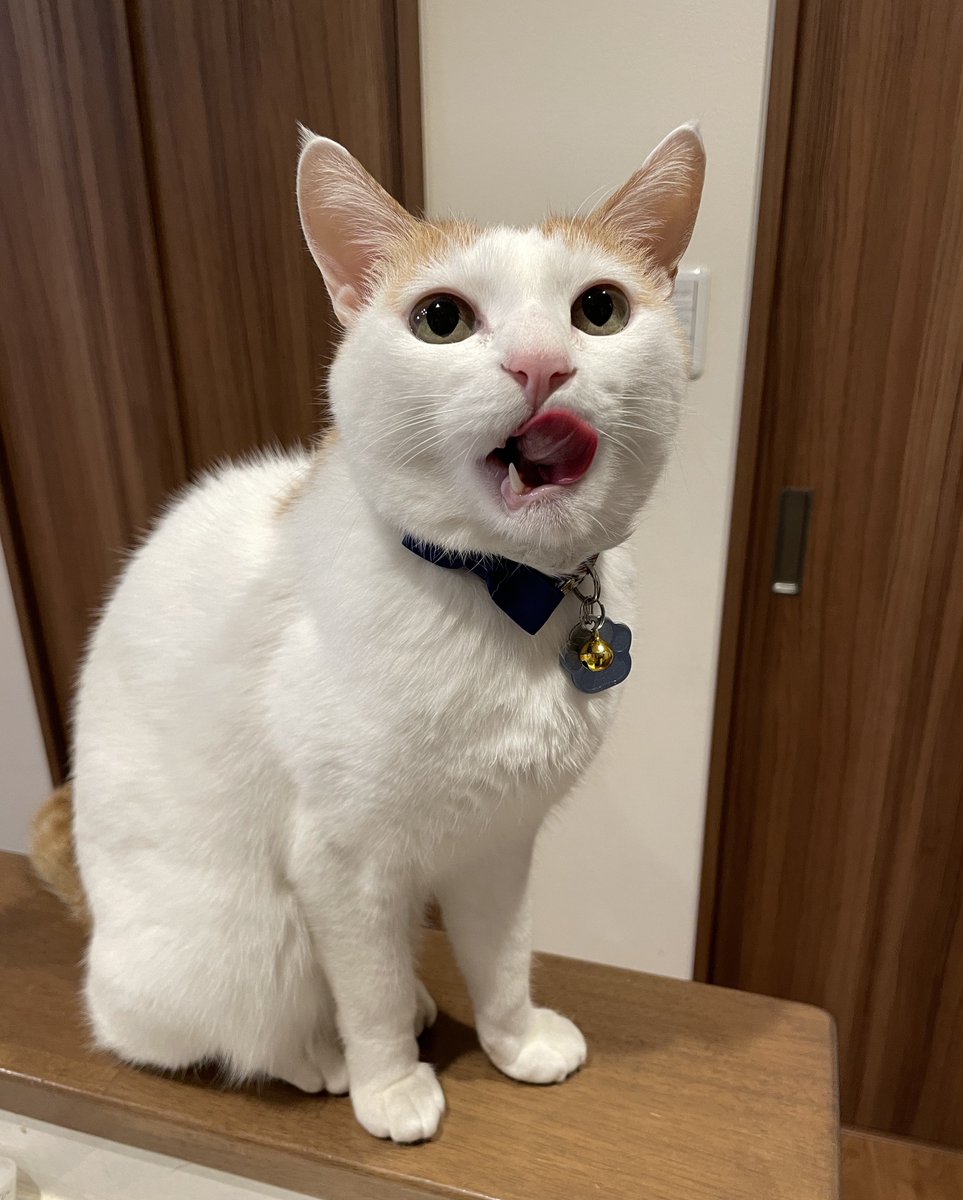 むぎむぎ むぎ (@mugi411) / Posts / X