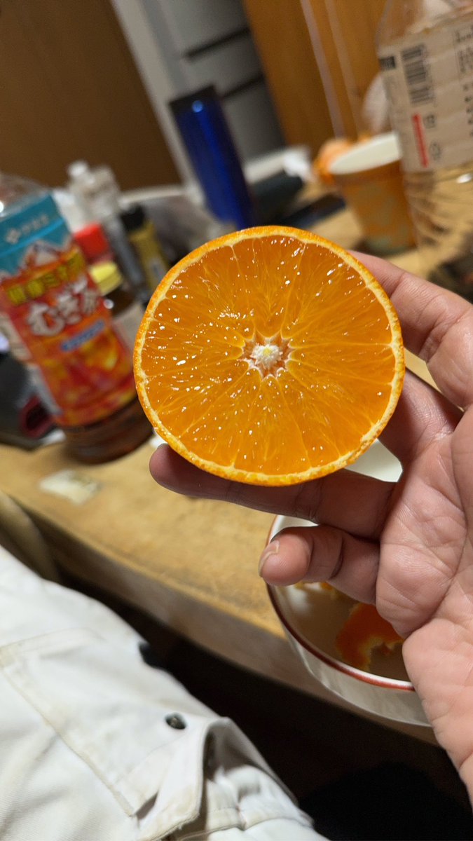 愛媛の高級みかん、紅まどんな。 最高ランクのものは1個数百円とか