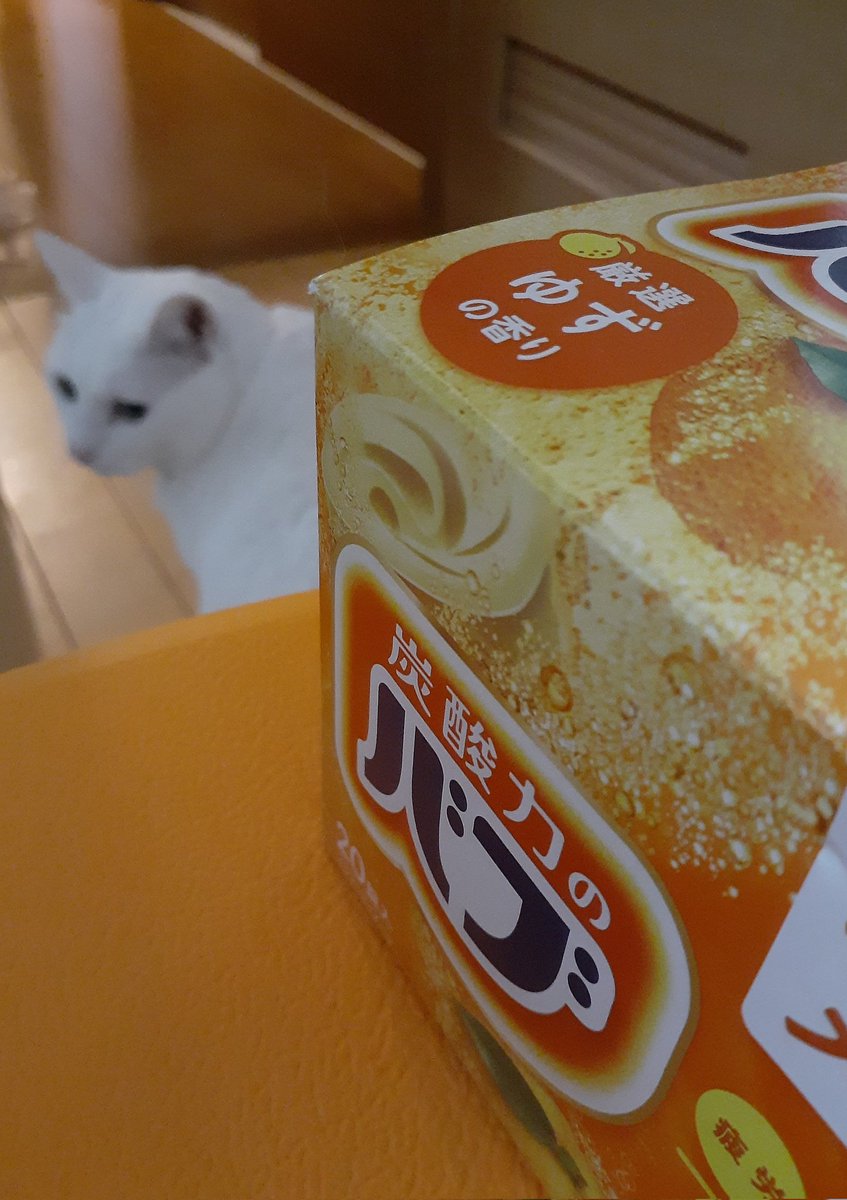 はるるん (@RNPrJ9xfX3PSoaA) / Posts / X