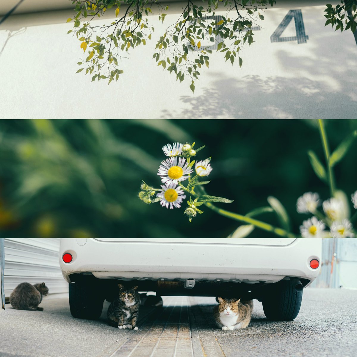 Kimura Hinami (@hinamin012) on Twitter photo 