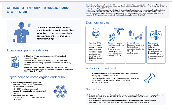 Sociedad SEEN tweet media