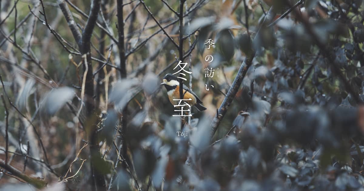 「冬至」は太陽の高さが最も低くなり、昼が一番短くなる日。
この日を境に日脚が伸びますが、寒さはこれから増していきます。
いよいよ年の瀬へ。一年の締めくくりと、新しい年を迎える準備をしてまいりましょう。
inden-ya.shop/apps/note/24_s…
#印傳屋 #甲州印伝 #印伝