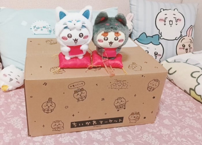 あいりん♪ (@airinmade) / Posts / X