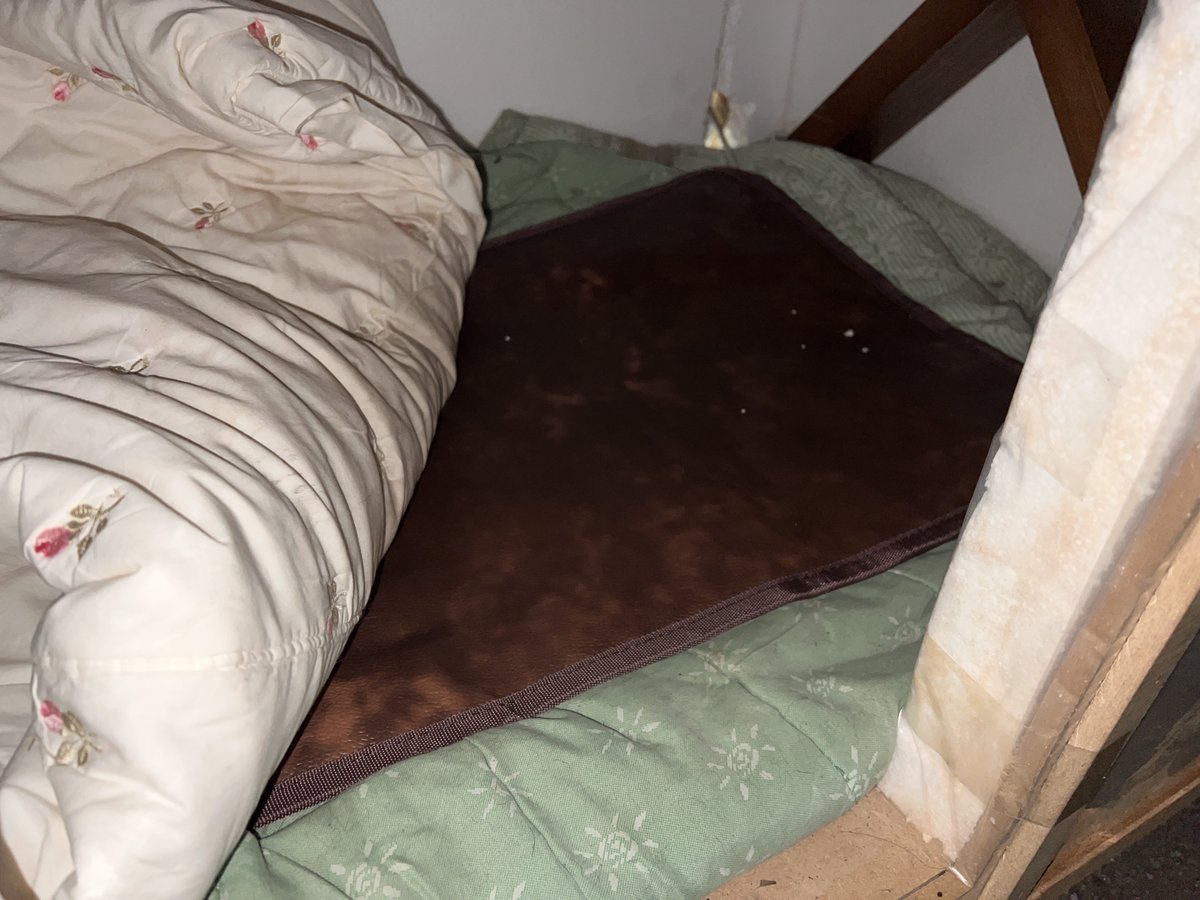 _dorai_'s tweet image. 두꺼운 스티로폼을 다 둘러놔서 냉기야 막겠지만 추운 건 막을 수 없다. 그간 핫팩 두 개씩 넣어 줬는데 그걸론 새벽 한기를 막기는 불가능하기 때문에 더 춥기 전에 2인용 전기 방석 사서 깔아 줬다. 저온으로 틀어 놓으면 밤새 춥진 않겠지. 건강하게 겨울 나고 따뜻한 봄엔 꼭 좋은 가족 만나길..