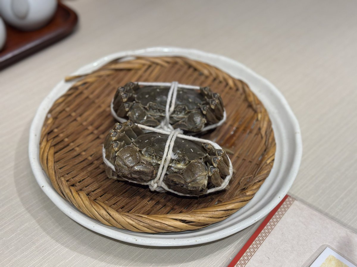 Kazubu (@_kazubu) / Posts / X