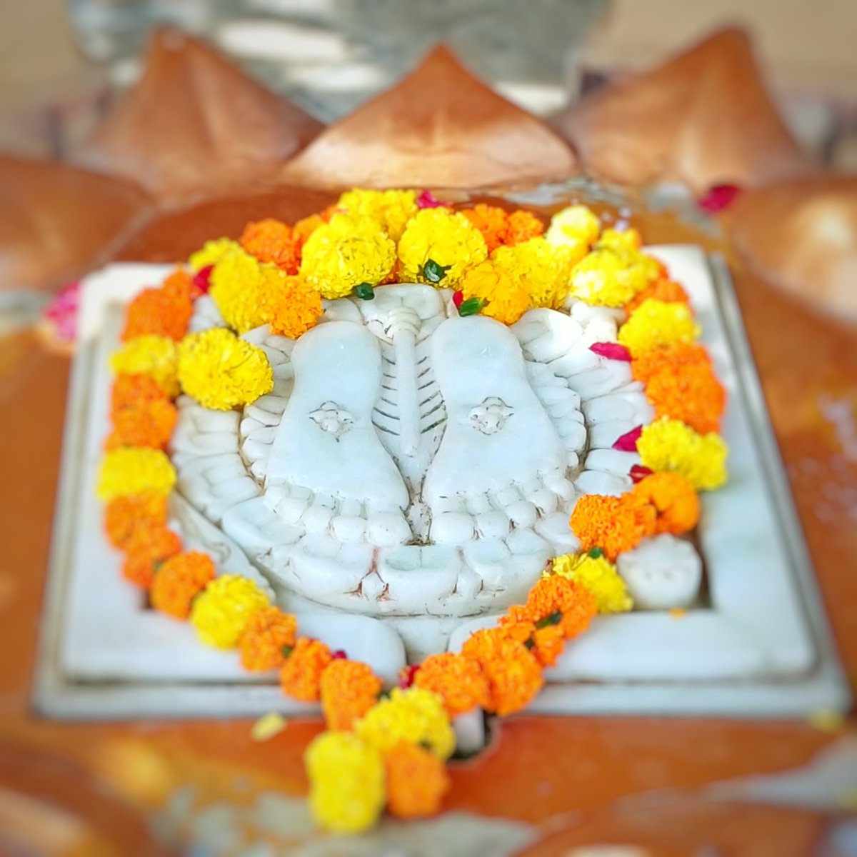 श्री कृष्ण चरण पादुका (गोलोकधाम), प्रभासक्षेत्र - गुजरात (सौराष्ट्र)
दिनांकः 22 दिसम्बर  2025, पौष शुक्ल प्रतिपदा एवं द्वितीया - सोमवार
12256852

भगवान कृष्ण एवं बलदाऊ के देहोत्सर्ग तीर्थ पहुंचने के लिए लोकेशन लिंक:🛕📍maps.app.goo.gl/xBvEmoWiG3aB1Z…