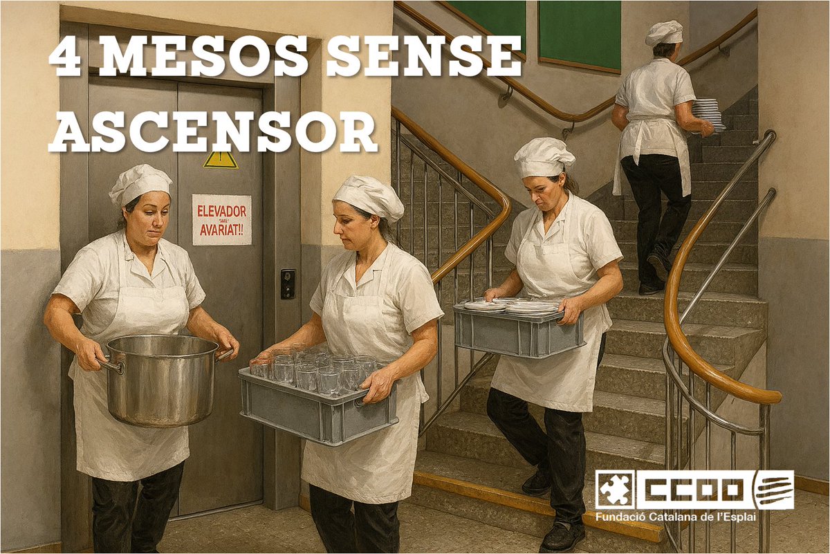 #CCOO portem davant Inspecció de Treball la situació de les treballadores de la cuina de l’Escola Puig d’Agulles
ccoo.app/fundesplai/cco…