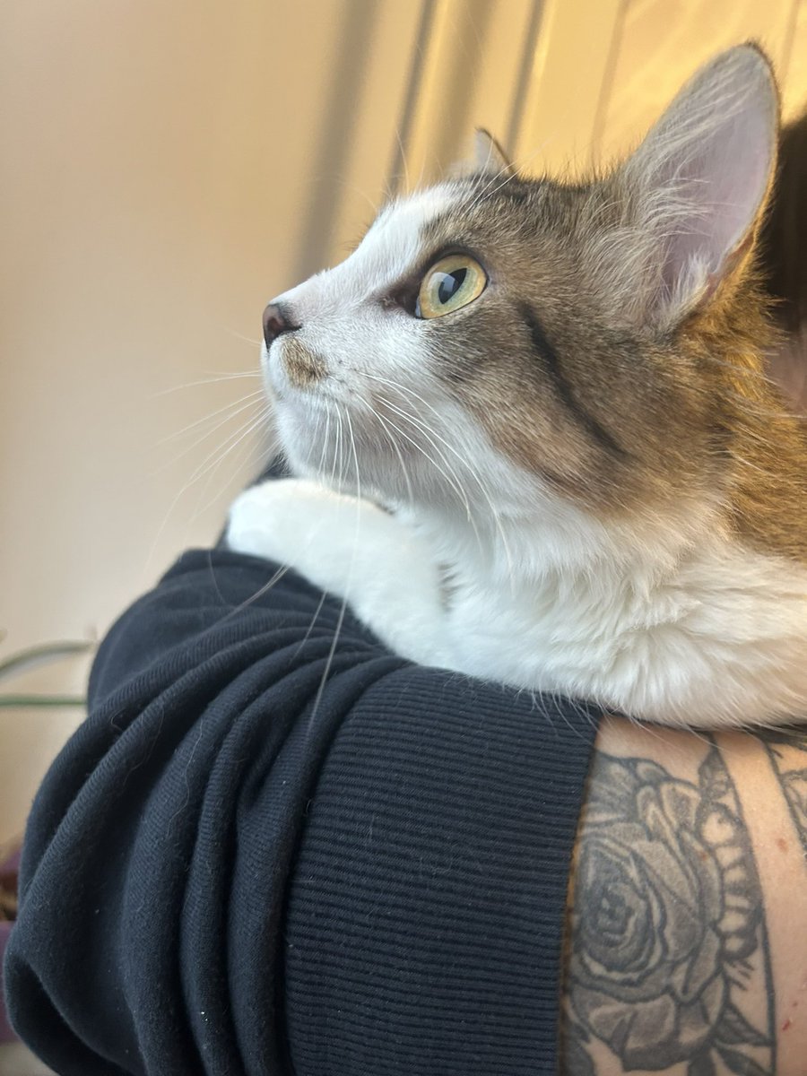 andrejae's tweet image. Mi2 gledava, če kej sneži 👀😅
Lumpek moj 🥰🥰