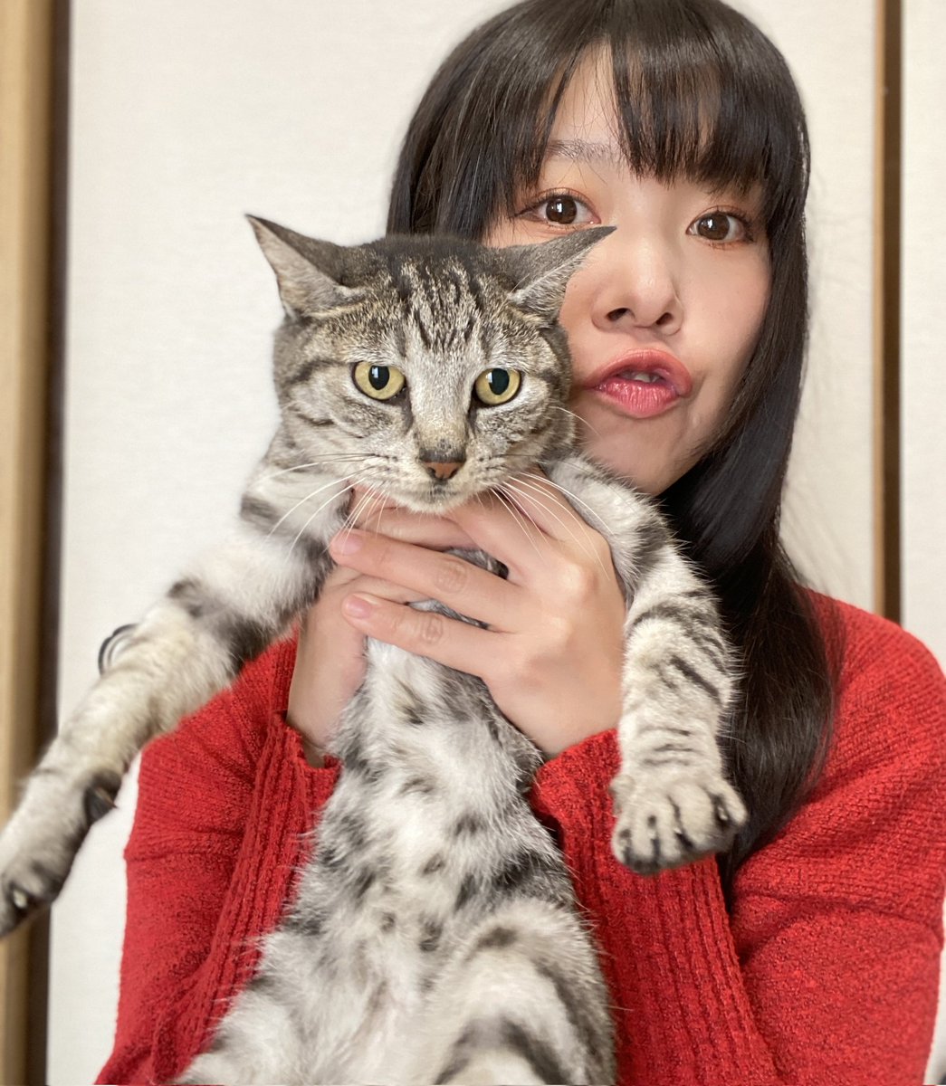 まこまこ🥕🙀🌸🍯🏍🍟🍩🌹 (@vikicha) / Posts / X