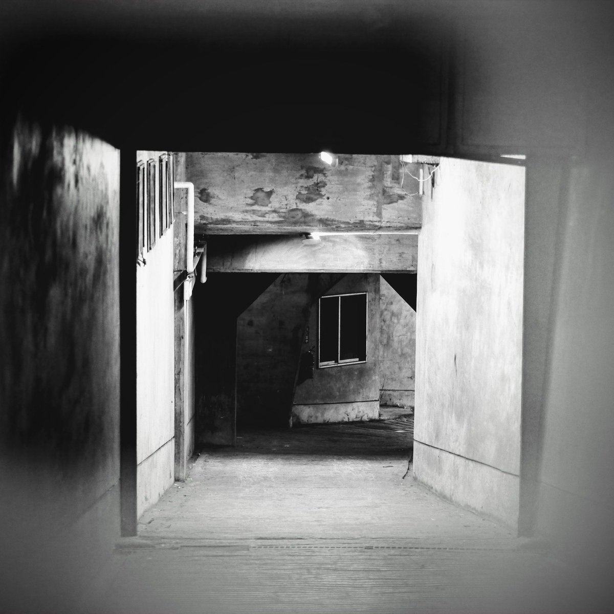 🆕⚔️
【Pre-release track｜Week 1】

🔪 KISSSSAKI
“Only Lonely Boy”

2025.12.23  0:00
Streaming Out

2026.01.14リリース
1st Full Album
『TOKYO SHOXX』より

三週連続・先行配信
第一弾。

※Album versionとは異なる別ver

▶︎ big-up.style/8KfXEpuvzw

Jacket photo by <a href="/koyankidesuten/">#koyankidesu展</a>