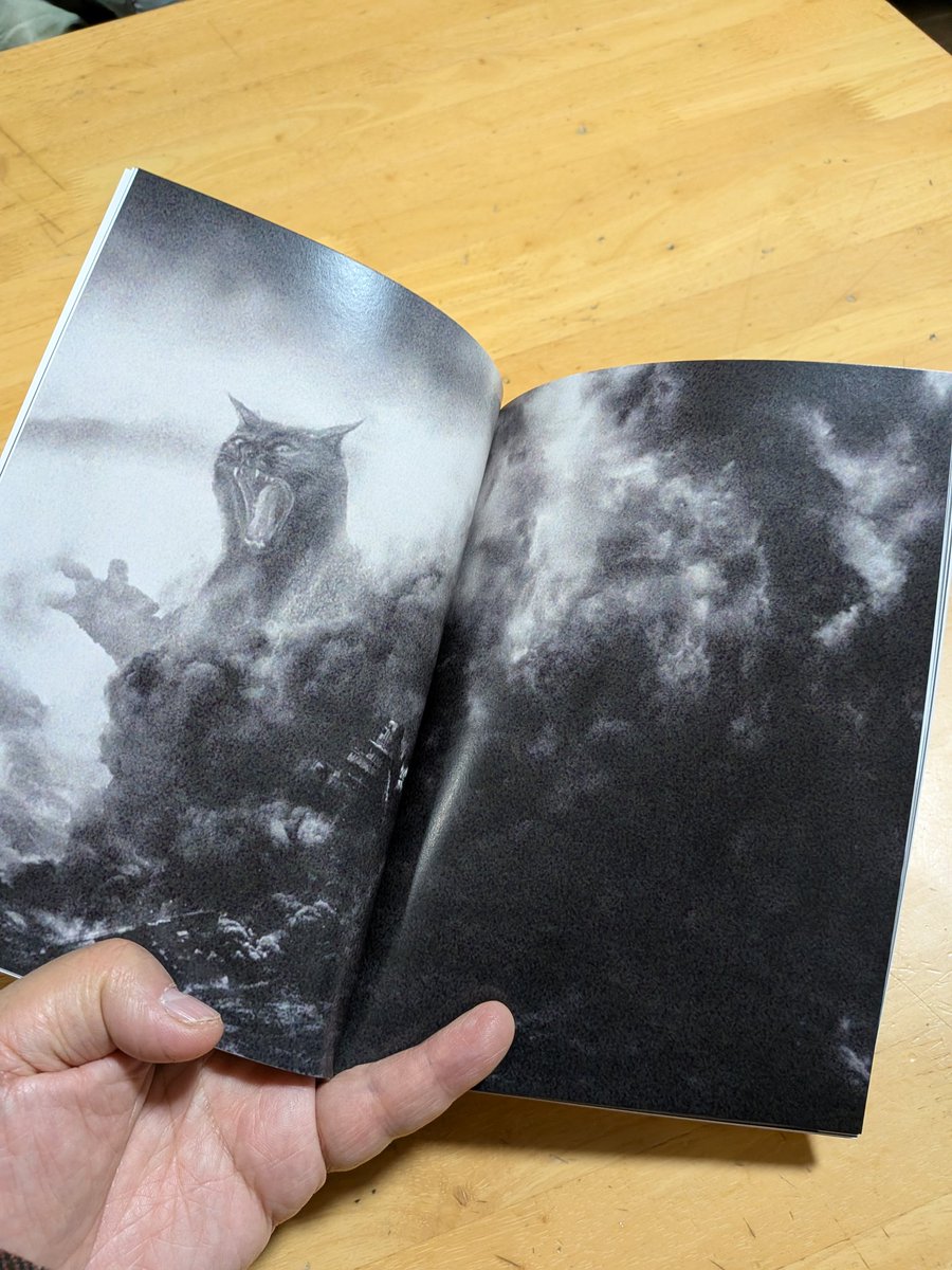 目羅 健嗣 (@necoeshimera) / Posts / X