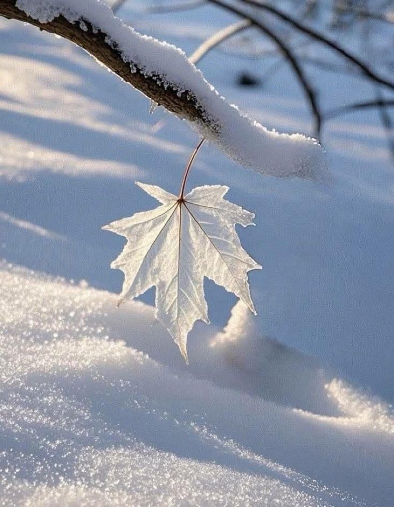 1010icerikler's tweet photo. Düşmek istemiyorsan, 

Hiç bir yere tutunma...! https://t.co/tTrUumdkkW