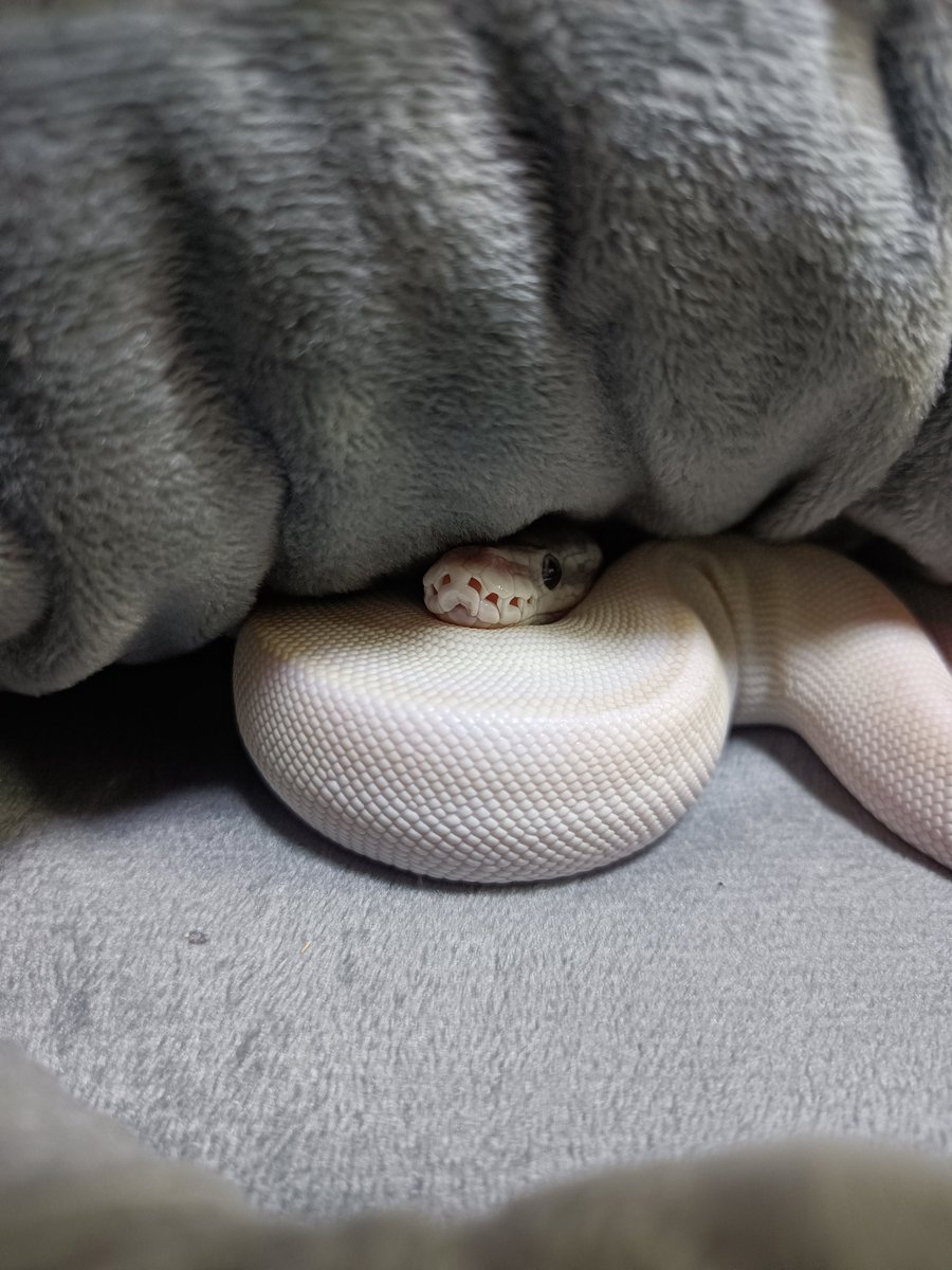 ⭐︎武蔵⭐︎ BushoCard/2018宮本武蔵 - 戦国IXA Wiki