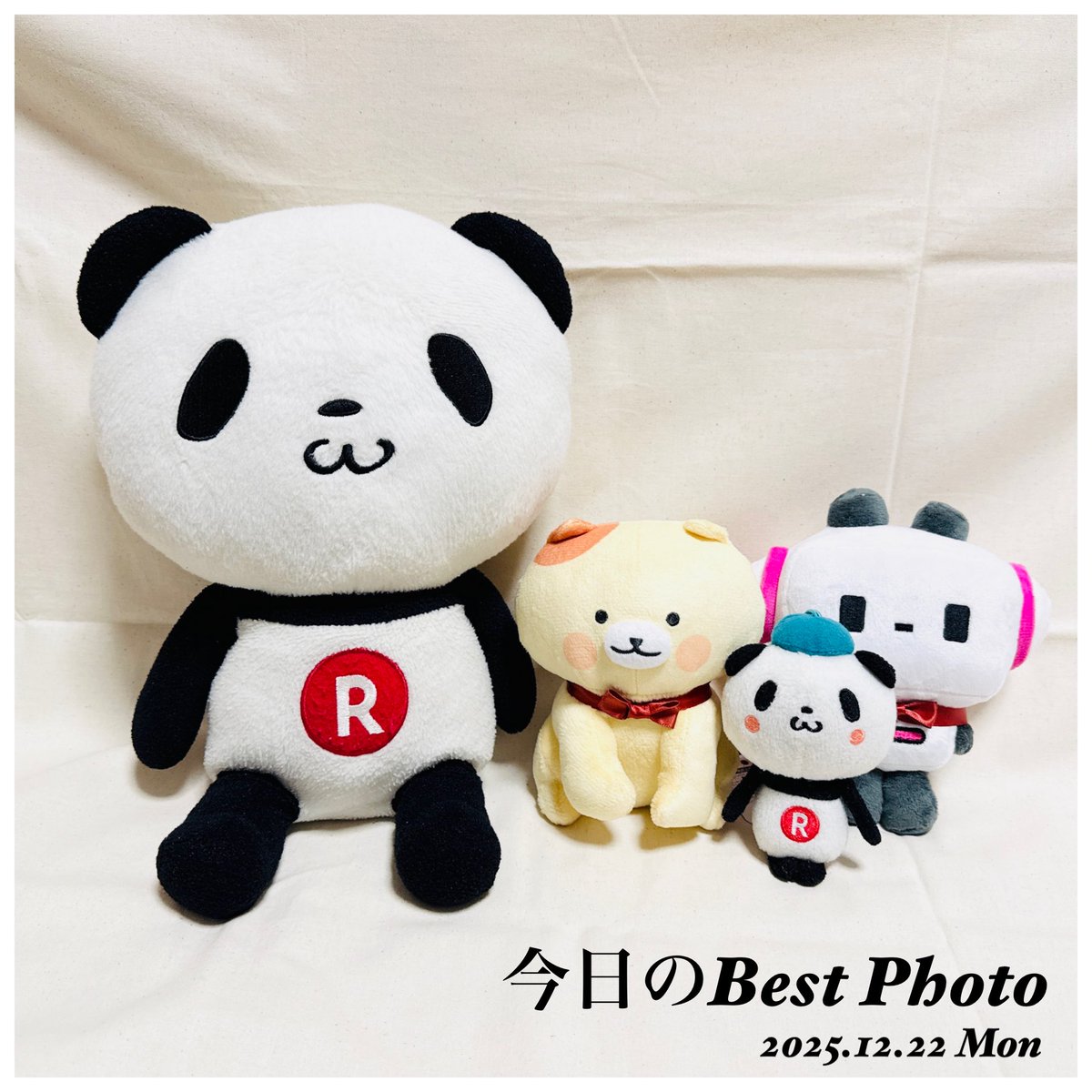 wing952's tweet image. おパン・小パンダ、むぎちゃんとぷちょまる殿を我が家にお迎えする(^^)

公式でしかお目にかかれない2人をついに対面しました♫

これからはうちのおパンファミリーとして一緒に居ようね✨✨

#お買いものパンダ