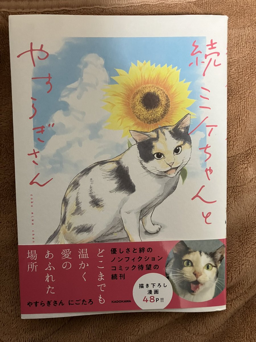 くま@モフ鉄#35 (@kumasan4231) / Posts / X